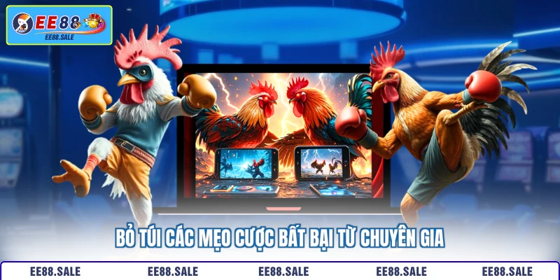 Bỏ túi các mẹo cược bất bại từ chuyên gia