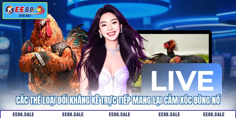 Các thể loại đối kháng kê trực tiếp mang lại cảm xúc bùng nổ