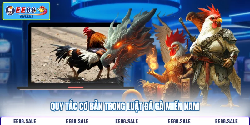 Quy tắc cơ bản trong luật đá gà miền nam